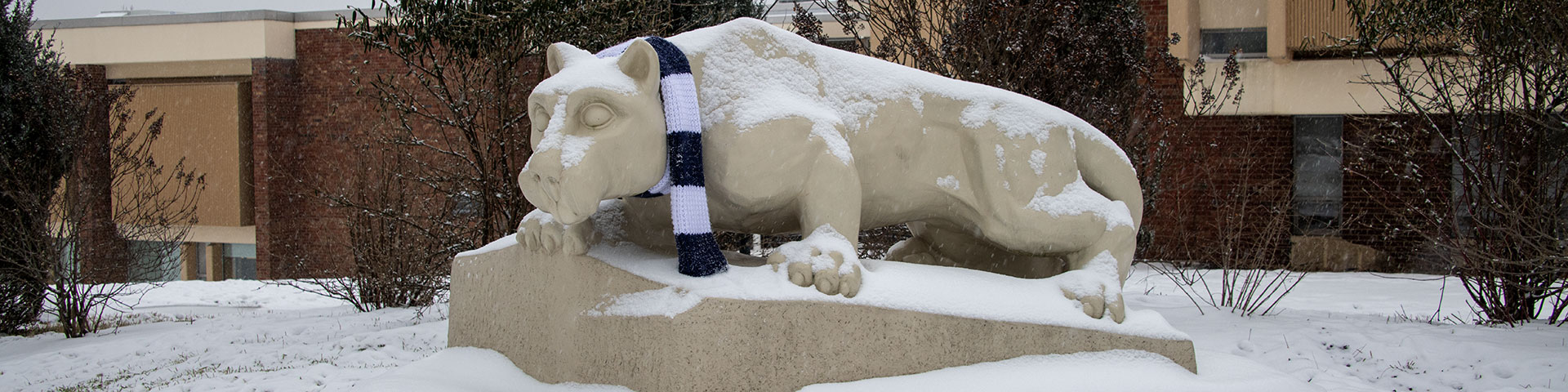 Lion Shrine in the snow.