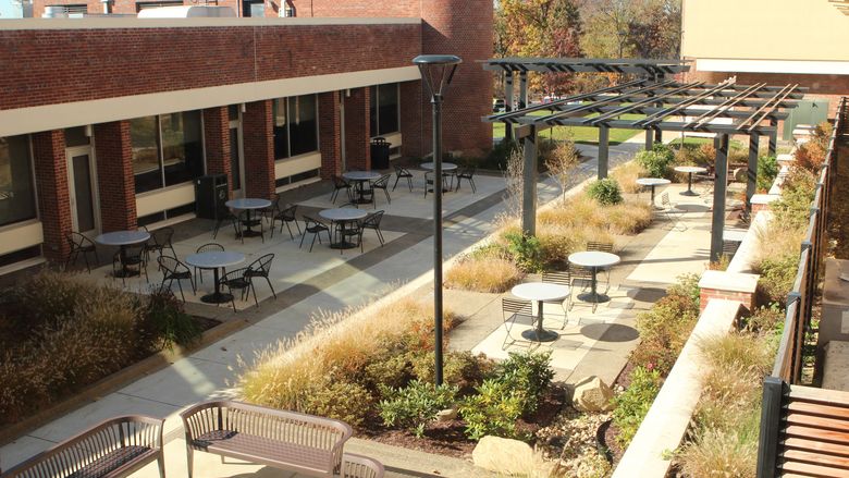 Empty court yard