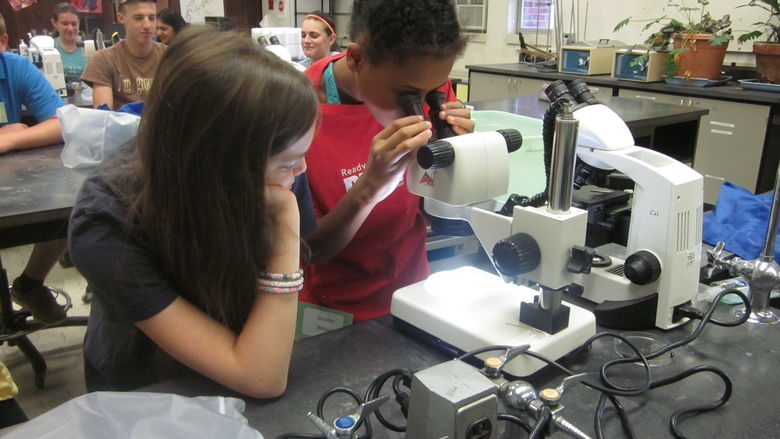 Students look through microscope