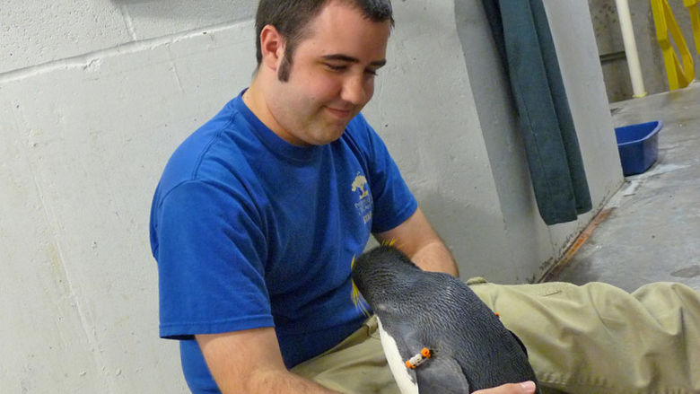 Brady Boyer sits on the ground and holds a penguin during his internship with the Pittsburgh Zoo.