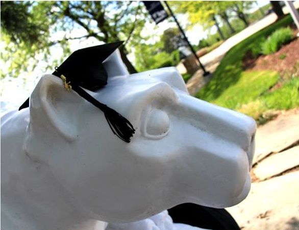The Nittany Lion shrine dons graduation mortarboard