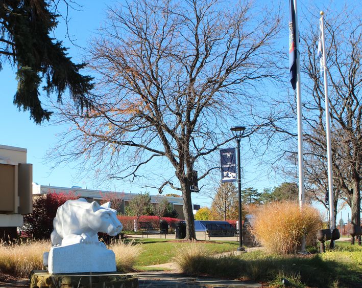 Lion and empty campus Lions on campus