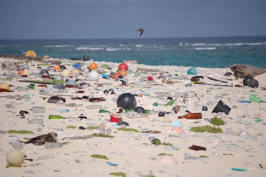 Beach strewn with plastic debris