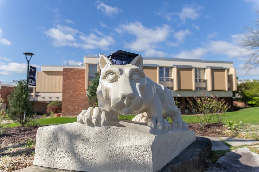 Lion shrine statue with graduation mortarboard Lion shrine statue with graduation mortarboard